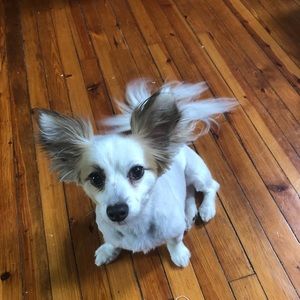 Meet your Posher, Georgene